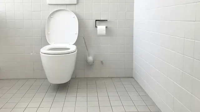 Ilustrasi Toilet/Photo by Jan Antonin Kolar on Unsplash