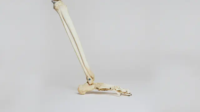 benefit kulit ubi jalar 3