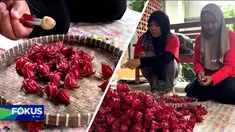 Simak informasi dalam Fokus Pagi edisi (28/4) dengan topik-topik pilihan sebagai berikut, Tawuran di Tengah Permukiman, Anggota DPRD DKJ Meninggal di Panggung, Bocah Tewas Tercebur Sumur, Karyawan Jadi Korban Penganiayaan.