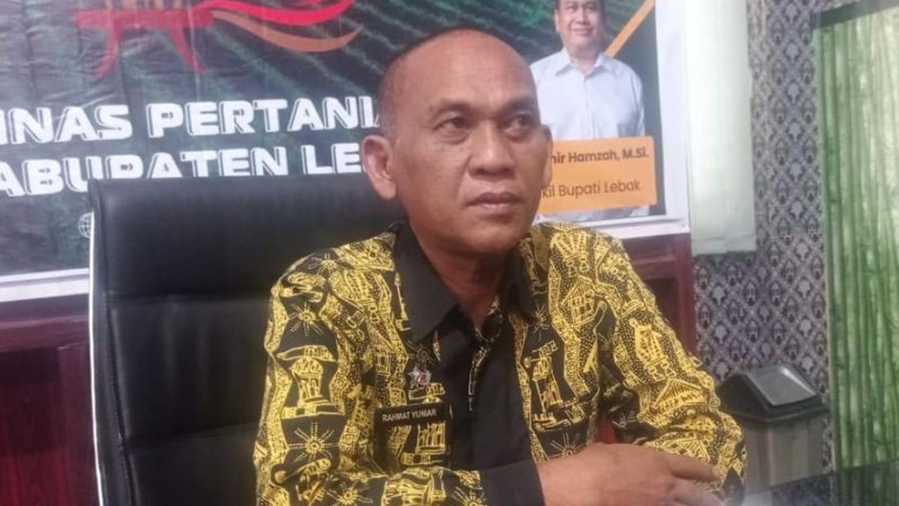 Distan Lebak Kembali Terapkan Teknologi SRI Dongkrak Produksi Pangan