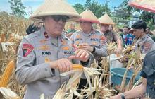 Wakapolda Sulut Soroti Penurunan Produksi Jagung Sulawesi Utara di Tahun 2025