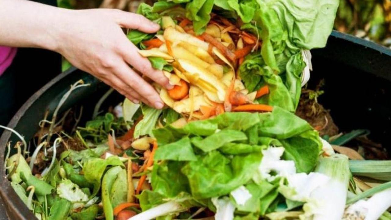 Bapanas Siapkan Rancangan Perpres Penyelamatan Pangan, Perkuat Ketahanan Nasional