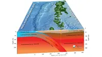 Pulau Jawa 'duduk' di atas lempeng-lempeng tektonik Bumi yang saling mendorong. (Sumber Earth Observatory of Singapore)