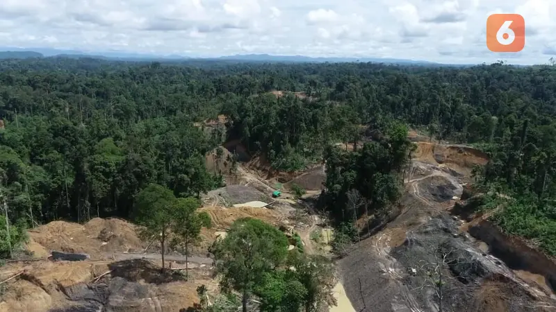 Tambang Ilegal di Berau