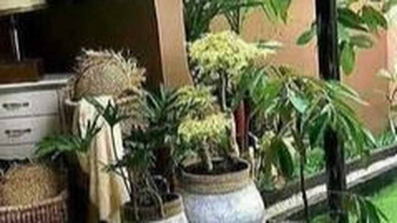 Taman Bali Minimalis Kecil