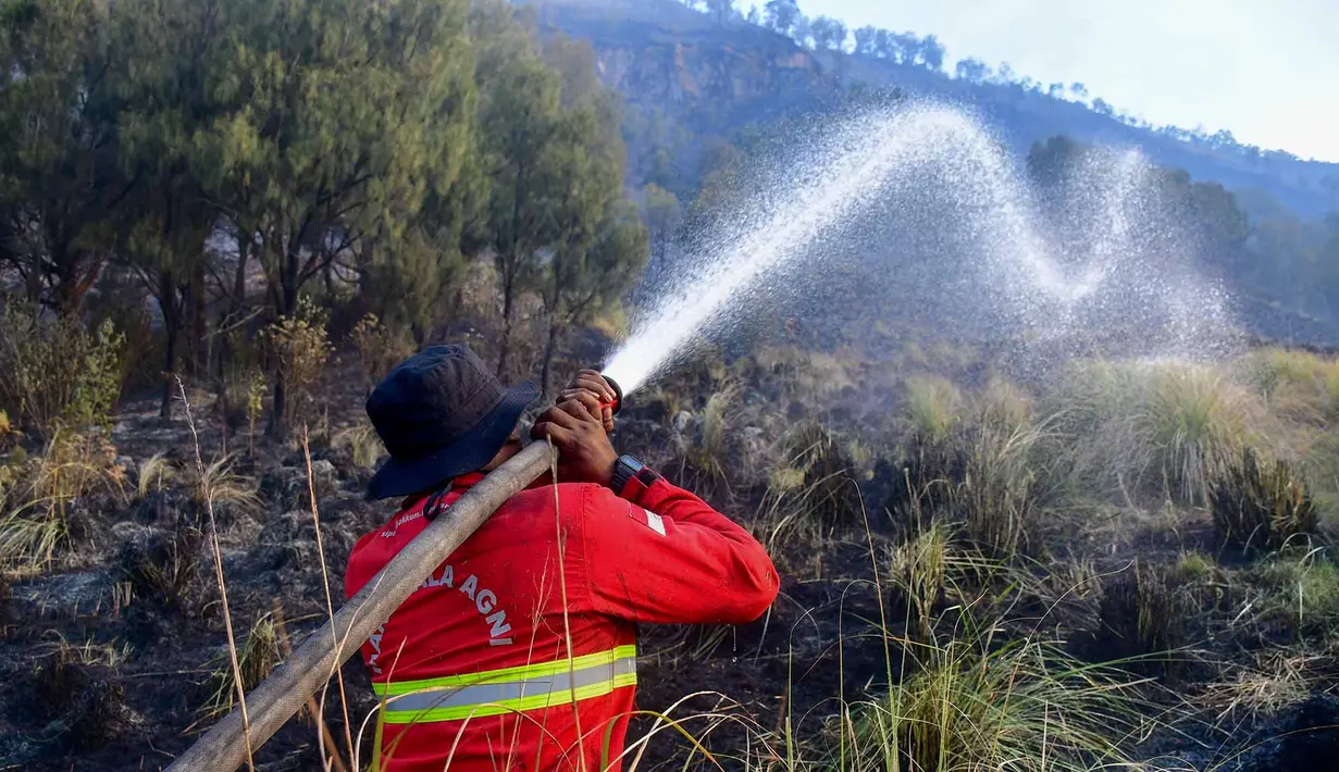 Petugas pemadam kebakaran memadamkan api di Taman Nasional Bromo Tengger Semeru di Desa Ngadas, Malang, Jawa Timur, 5 Agustus 2026. (AFP/ Muhammad Firman)