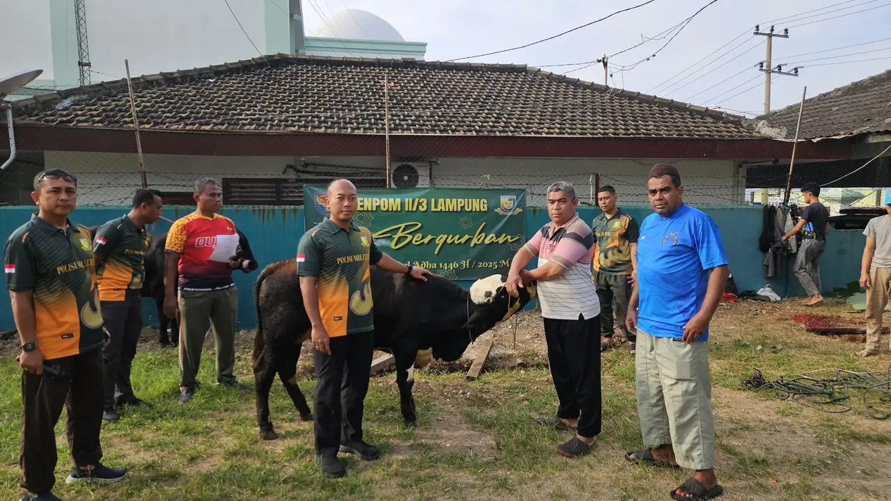 Kegiatan pemotongan hewan qurban oleh Denpom II/3 Lampung dimulai Sabtu 7 Juni 2025 pada pukul 07.00 WIB (Istimewa)
