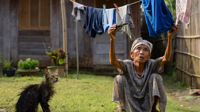 Dongeng pendek kucing penolong (Foto: Reve Art AI)