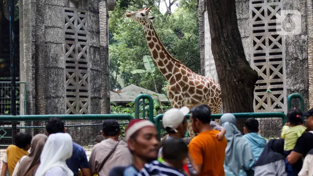 Taman Margasatwa Ragunan