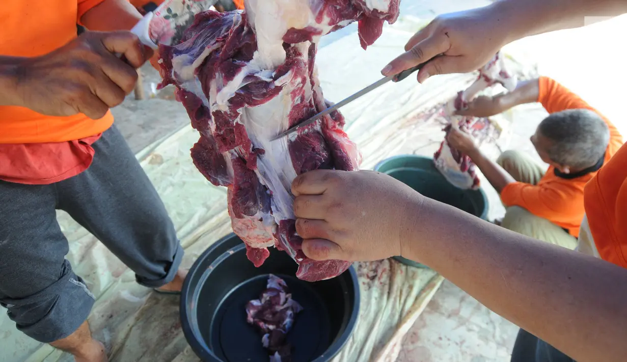 Panitia memotong daging kurban sebelum dibagikan ke warga sekitar Masjid  Al-Kahfi, Griya Pamulang 2, Tangerang Selatan, Banten, Rabu (22/8). Semarak Idul Adha 1439 H membuat warga gotong royong mendistribusikan daging kurban. (Merdeka.com/Dwi Narwoko)