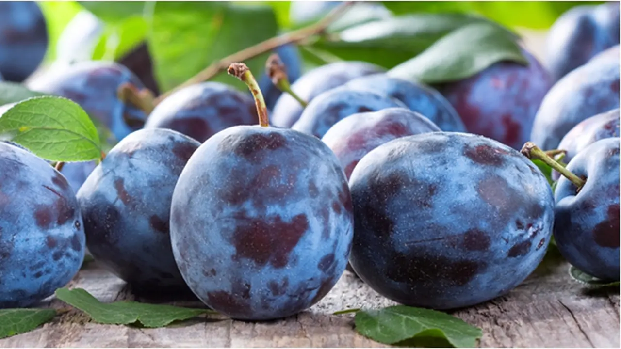 Courtesy ShutterStock.com