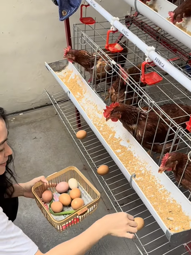 Jevier Justin Shares the Ups and Downs of Being an Egg Entrepreneur