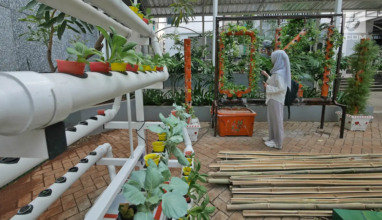Warga melihat tumbuhan di Balkot Farm kawasan Balai Kota DKI Jakarta, Senin (15/7/2019). Balkot Farm merupakan implementasi dari konsep pertanian perkotaan atau urban farming dari berbagai jenis tanaman tumbuh kangkung, pakcoy, sawi, bayam, sereh, hingga lidah buaya. (Liputan6.com/Herman Zakharia)