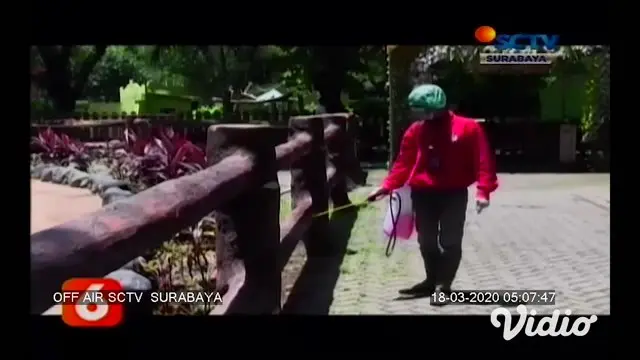 VIDEO: Penyemprotan Disinfektan di Kebun Binatang Surabaya
