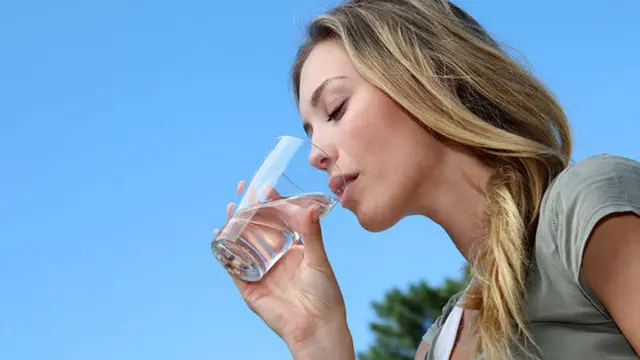 Foto: Copyright Shutterstock.com