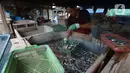 Pekerja memasak ikan asin secara tradisional di Sentra Pengolahan Ikan Asin Kampung Nelayan Muara Angke, Jakarta, Selasa (16/11/2021). Produksi ikan asin mengalami harga stabil saat pandemi Covid-19 di level 1 dengan harga jual kisaran Rp 38 ribu/kg meski cuaca kurang baik. (merdeka.com/Imam Buhori)