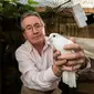 Burung Merpati Peliharaannya Berisik, Pria Ini Berakhir Didenda Rp 9,5 Juta (Sumber: Will Dax/Solent News)