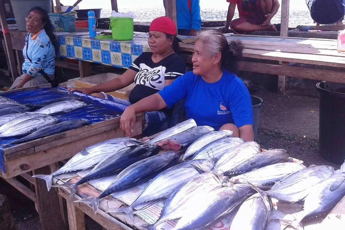 Nestapa Nelayan Kepulauan Sangihe: Tangkapan Melimpah, Tapi Bingung Mau Jual ke Mana/