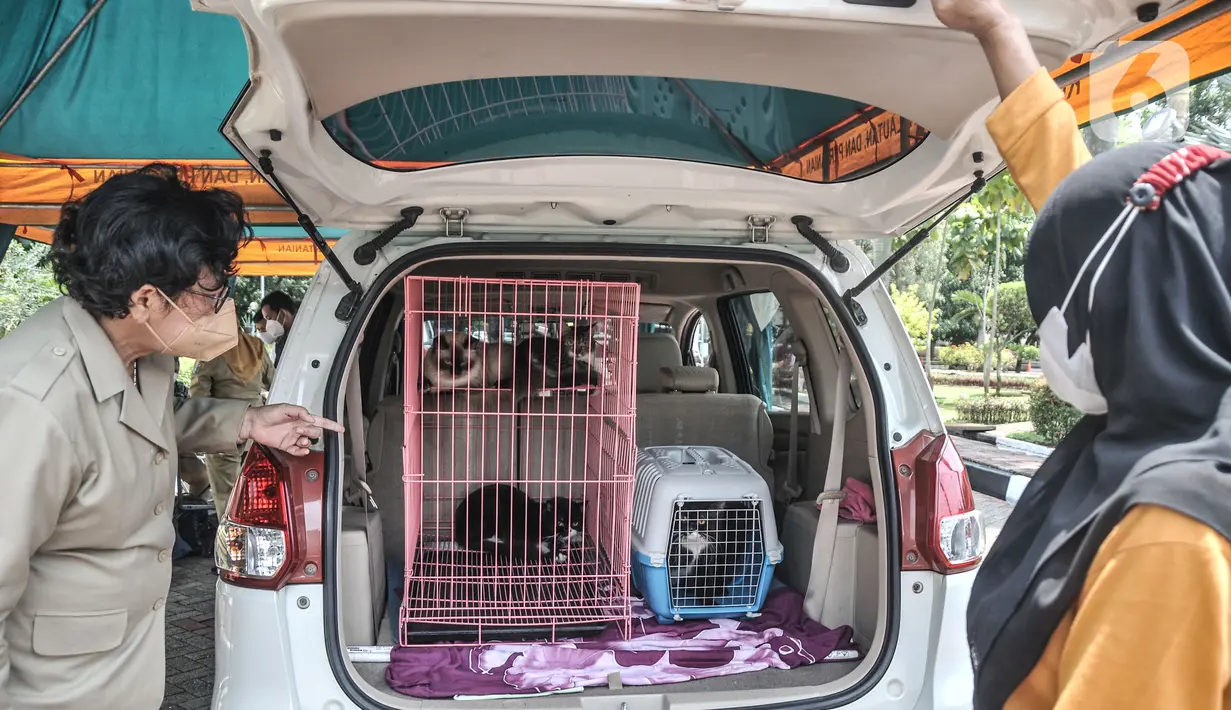 Warga membawa hewan peliharaannya untuk divaksinasi rabies drive thru di halaman Kantor Wali Kota Jakarta Timur, Selasa (28/9/2021). Kegiatan ini bertujuan memberikan pelayanan kepada masyarakat yang memiliki hewan peliharaan agar terjamin dari penyakit rabies. (merdeka.com/Iqbal S Nugroho)