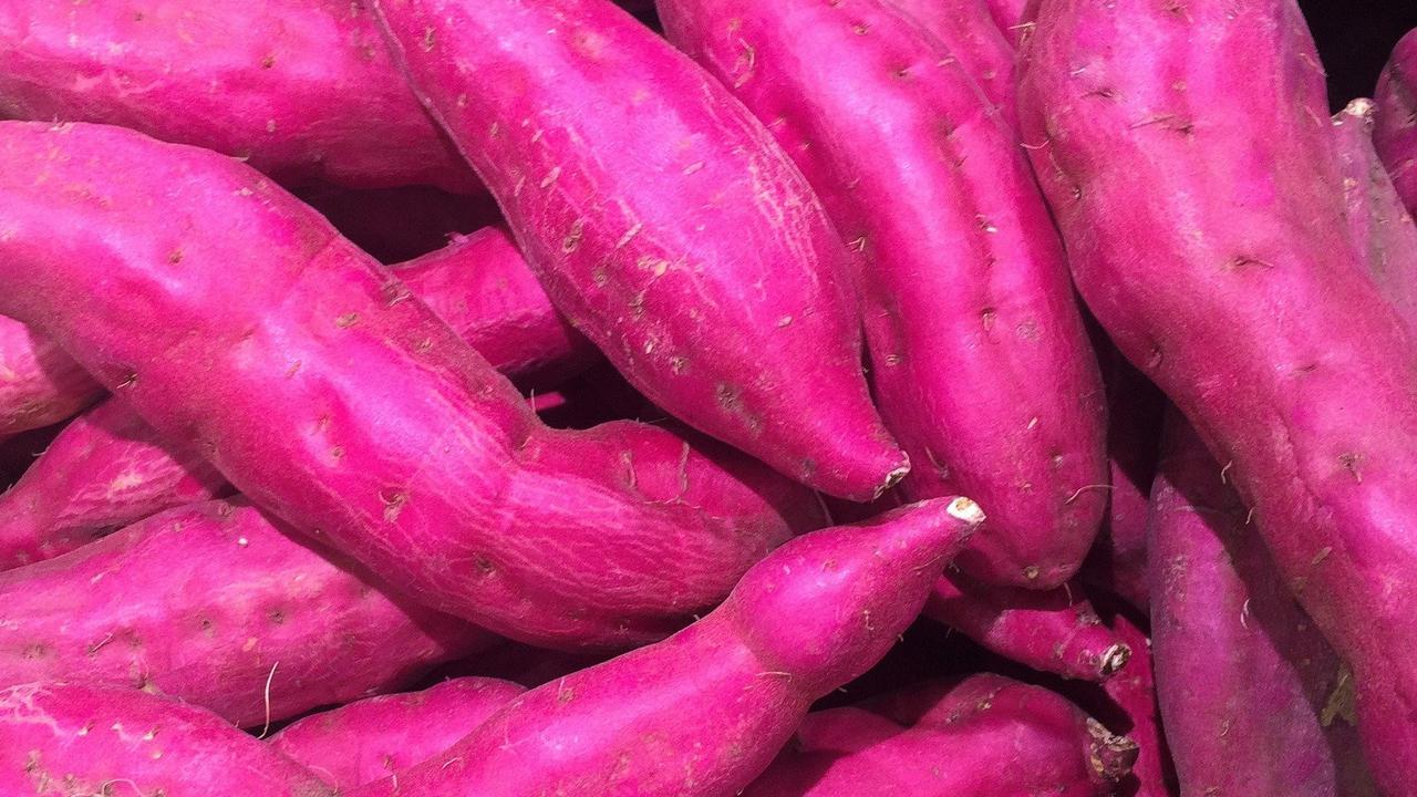 Resep Olahan Ubi Ungu yang Penuh Gizi untuk Anak dan Dewasa, Cocok untuk Camilan Sore