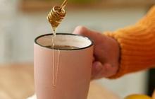 10 Tanaman Herbal Kaya Manfaat yang Bisa Dibudayakan di Halaman Rumah