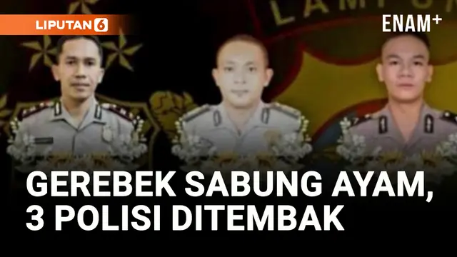 VIDEO: Geger! 3 Polisi Tewas Ditembak saat Gerebek Judi Sabung Ayam
