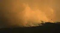 Spanyol Darurat Nasional Kebakaran Hutan