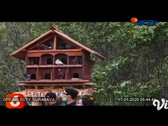 Video Rawa Kumuh Di Banyuwangi Disulap Jadi Wisata Keluarga Surabaya Liputan6 Com
