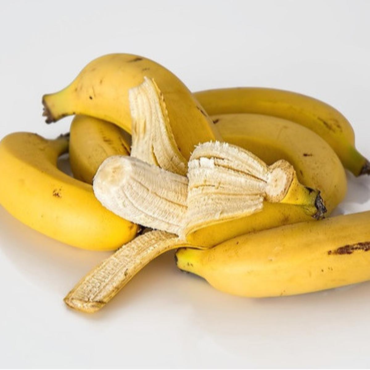 Ilustrasi pisang.