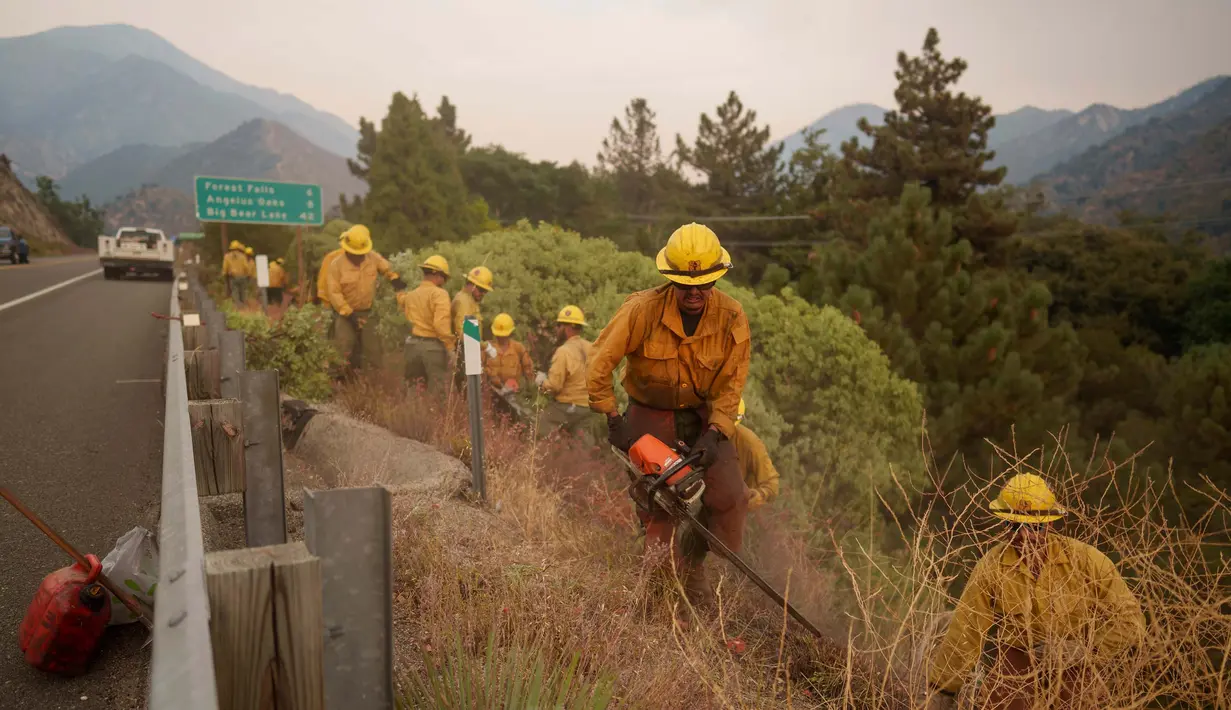 Petugas pemadam kebakaran saat berusaha melokalisir kebakaran hutan yang terus meluas di Mentone, California, Minggu 8 September 2024. (AP Photo/Eric Thayer)