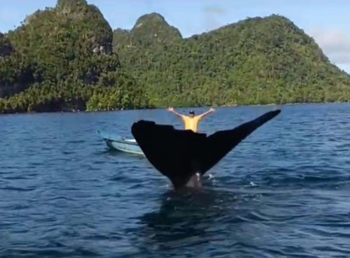 Anak-anak Papua Bermain dengan Seekor Ikan Paus di Laut Raja Ampat