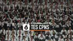 Jumlah pendaftar calon pegawai negeri sipil terus bertambah. Hingga Selasa (19/11) siang total pelamar berjumlah 3,3 juta orang.
