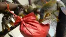 Monyet tupai mencoba membuka paket natal berisi penuh makanan di kebun binatang de Pescheray, Prancis, Selasa (24/12/2019). Tak hanya manusia saja yang merayakan Natal, hewan  di kebun binatang ini disuguhi makanan lezat yang dibungkus dengan kado khas Natal.  (JEAN-FRANCOIS MONIER/AFP)
