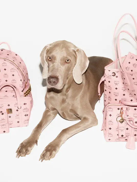 Motif Visetos yang menjadi signature dalam koleksi MCM menjadi highlight utama.