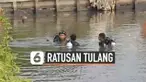 vertical tulang