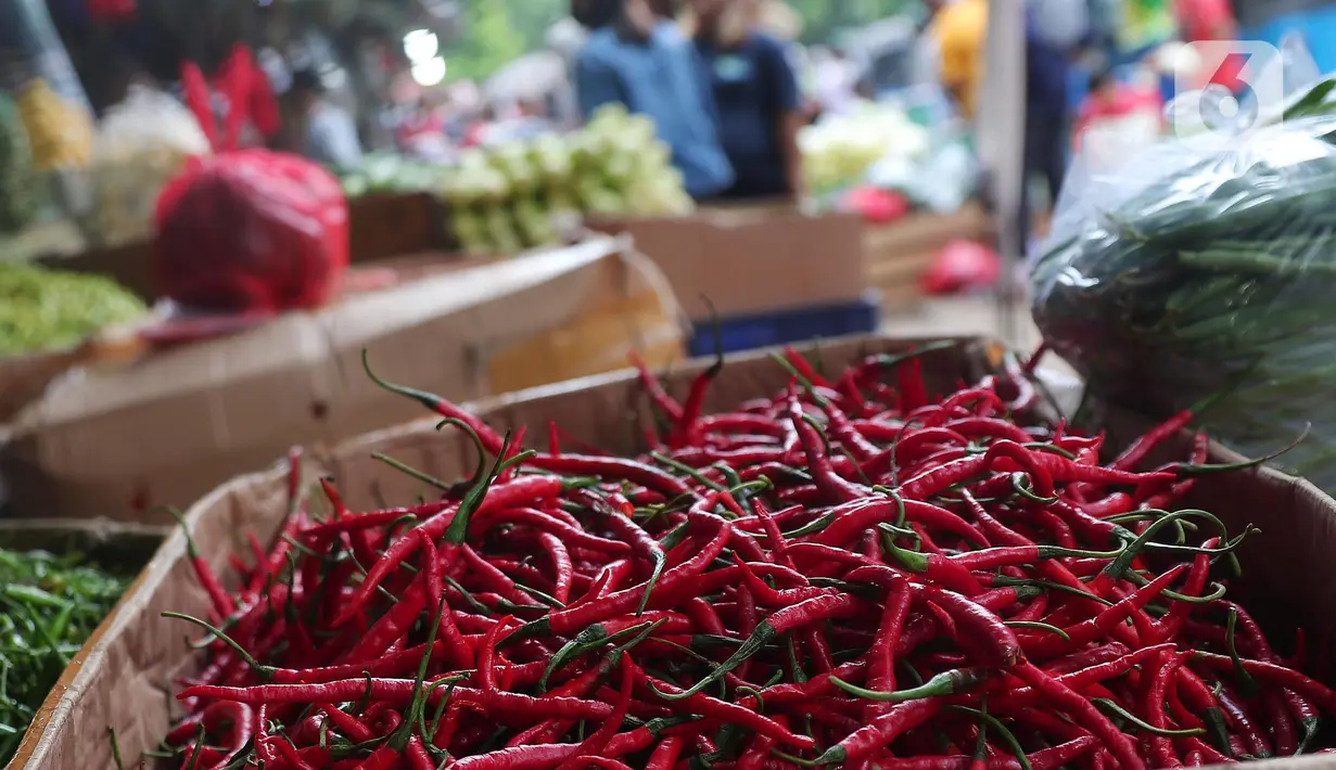 Cabai merah dijual di pasar Senen, Jakarta, Jumat (23/12/2022). Penjabat (Pj) Gubernur DKI Jakarta, Heru Budi Hartono menjelaskan, menghadapi Natal 2022 dan Tahun Baru 2023, Pemprov DKI Jakarta terus meningkatkan sinergi untuk menjaga ketahanan pangan. Dia pun memastikan bahwa pasokan kebutuhan pangan yang berkualitas untuk masyarakat Jakarta dalam kondisi stabil, serta harga pangan tetap terjaga dan terjangkau oleh masyarakat Jakarta. (Liputan6.com/Angga Yuniar)