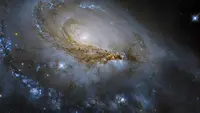 Galaksi NGC 1961. (NASA)
