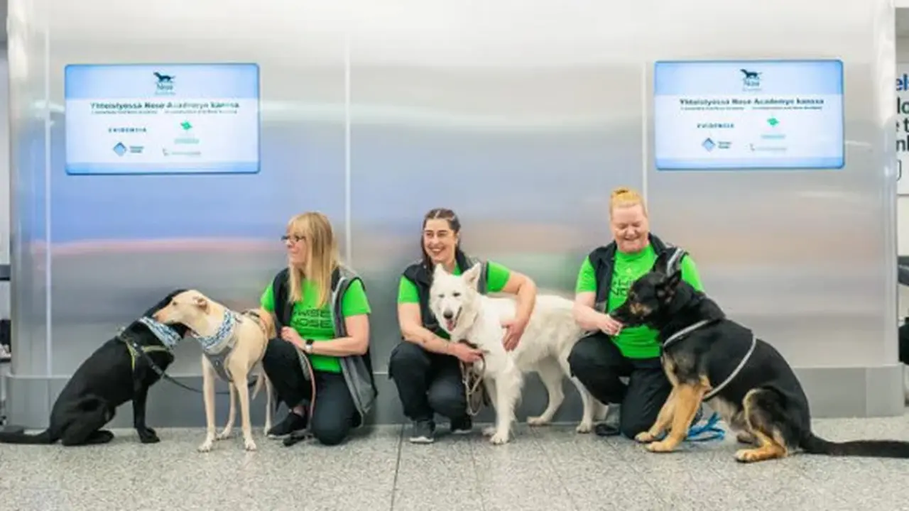 Bandara Ini Gunakan Jasa Anjing Untuk Deteksi Covid-19