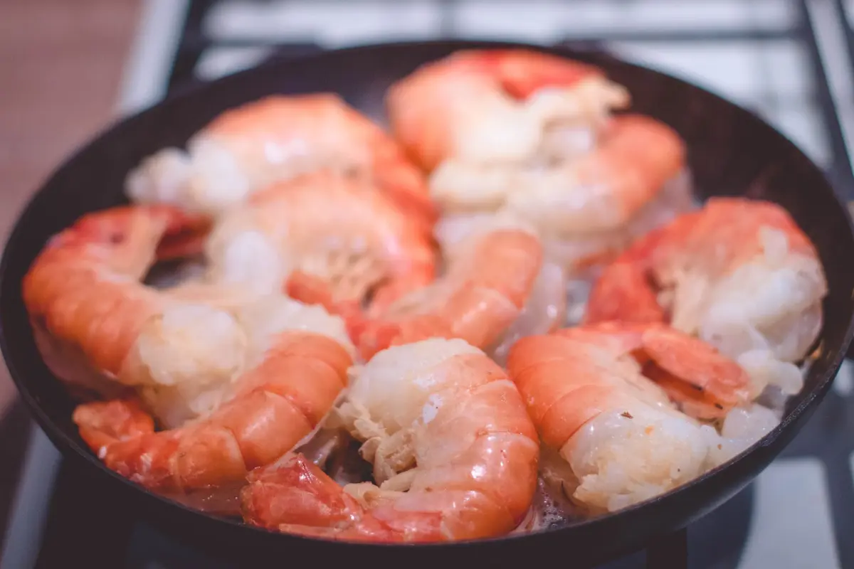 Ilustrasi udang