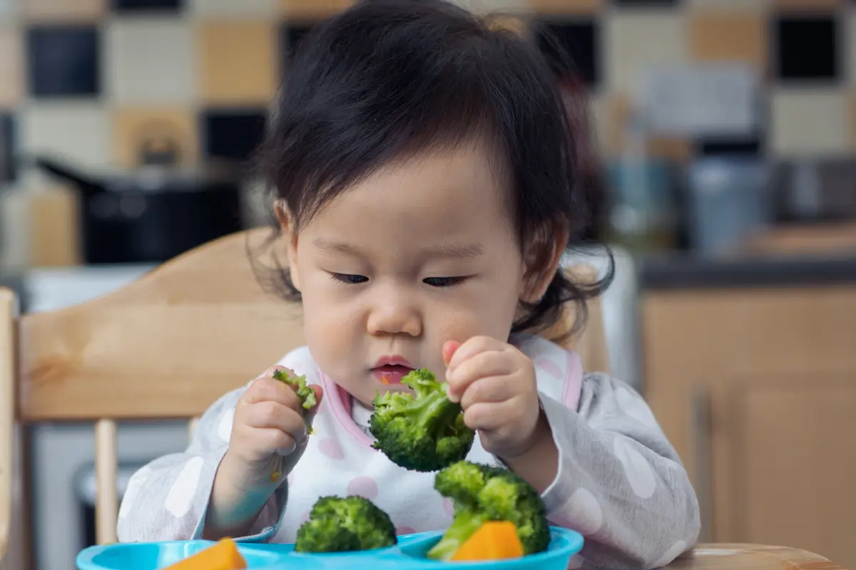 Anak susah makan