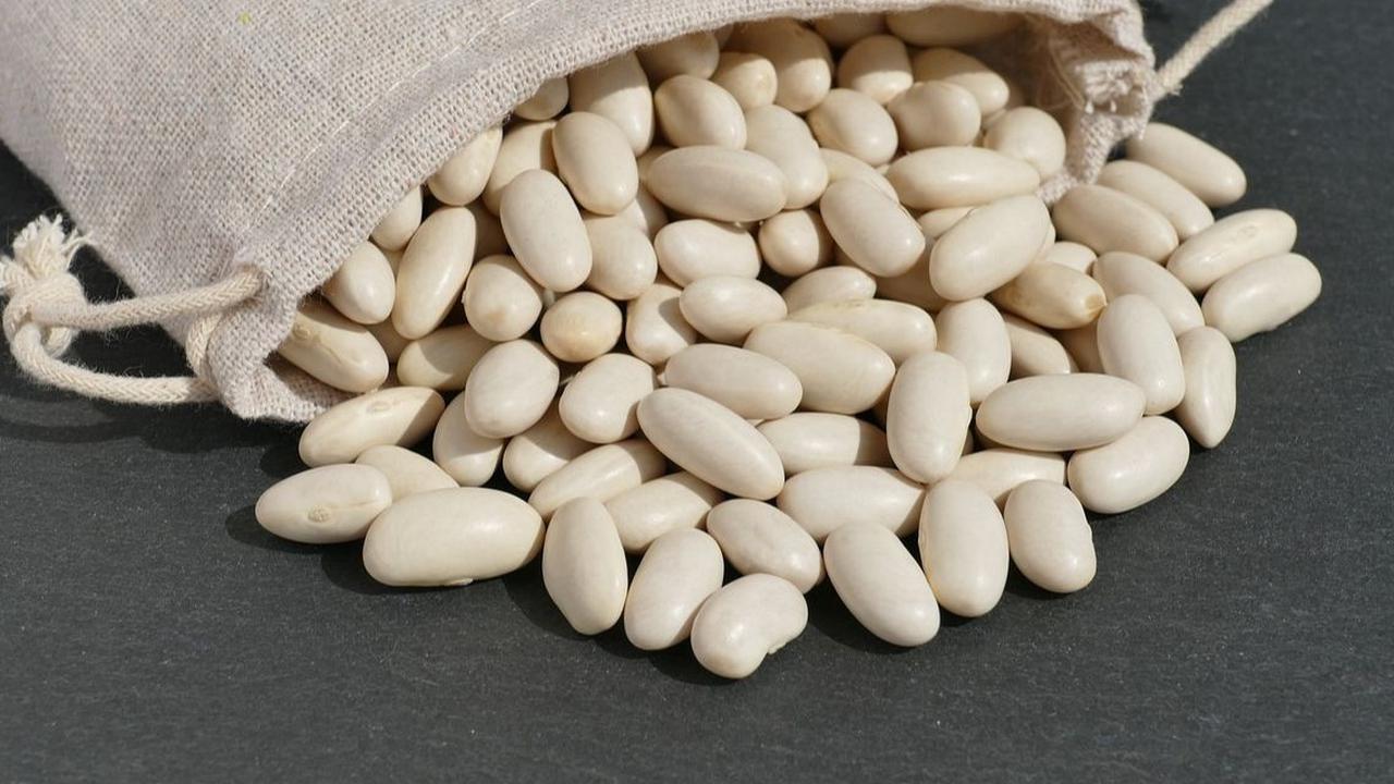 Perbedaan Kacang Lima dan Edamame