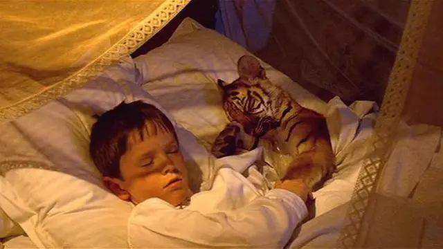 Two Brothers (2004)