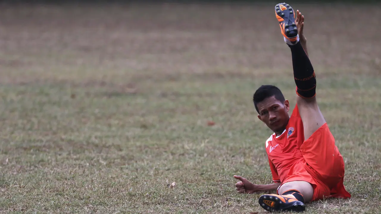 Ismed Sofyan