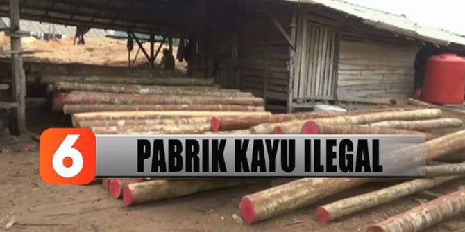 Diduga Lakukan Praktik Ilegal Logging, Pabrik Pengolahan Kayu di Kalbar Digerebek