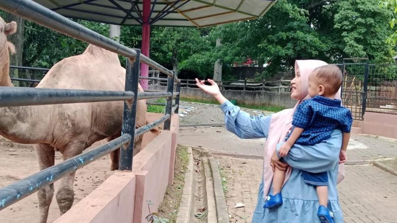 Semarang Zoo Targetkan 60.000 Wisatawan Selama Libur Lebaran 1447 H dengan Program Baru