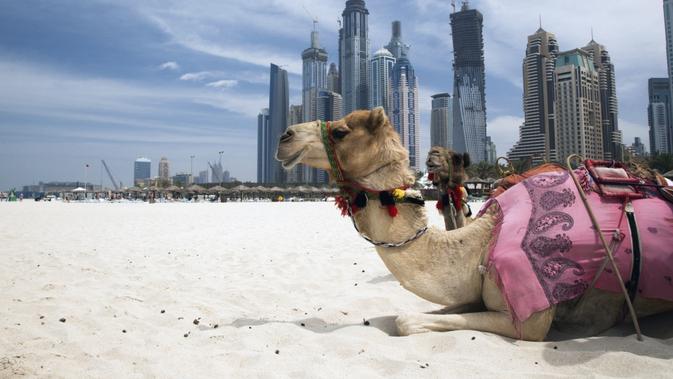 Hal Unik yang Hanya Bisa Ditemukan di Pantai Dubai (sumber: Skyscanner)