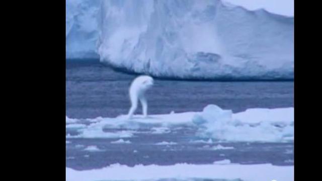 460 Penampakan Hantu Putri Duyung Terbaik