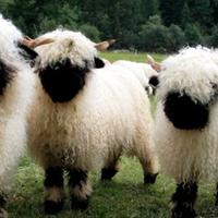 Cerita horor Terbaru - Berita, Foto, Video  Fimela.com