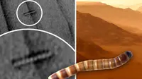 Sebuah foto terbaru dari Mars memperlihatkan objek yang tampak seperti cacing