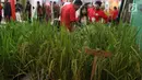 Sejumlah peserta Rakornas PDI Perjuangan melihat pameran di ICE BSD, Tangerang Selatan, Sabtu (16/12). Pameran tersebut menyuguhkan prodak pertanian perternakan dan UMKM prodak lokal. (Liputan6.com/Angga Yuniar)